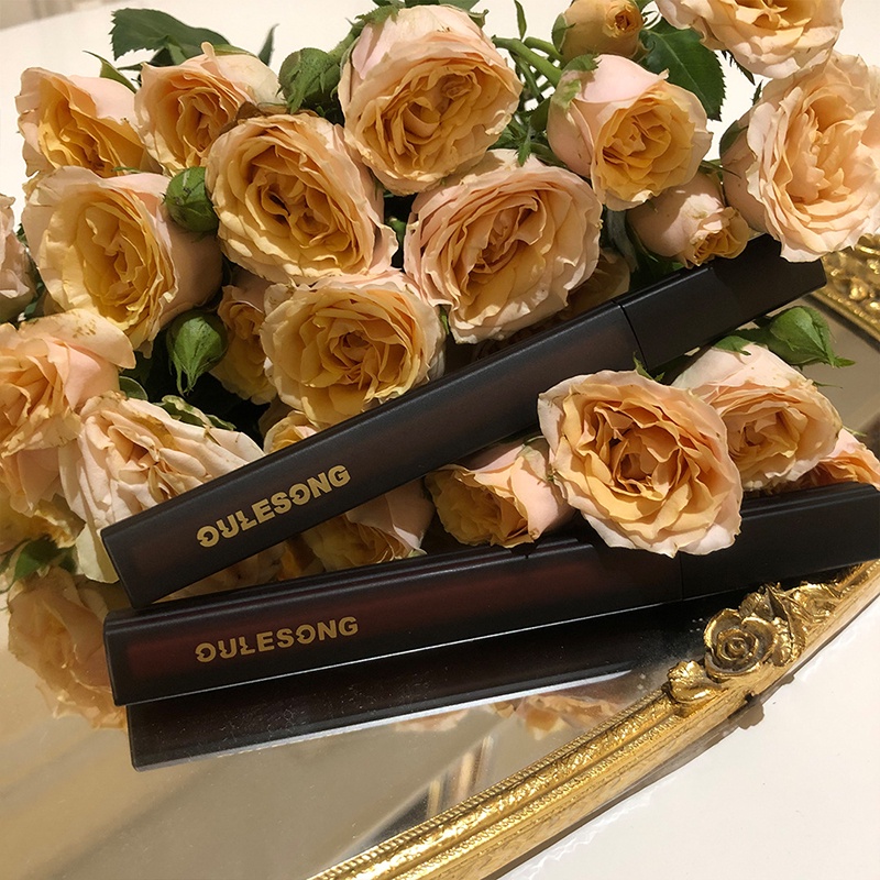 Son môi chống thấm nước lâu trôi 6 màu sắc tùy chọn trang điểm tự nhiên dành cho nữ sinh