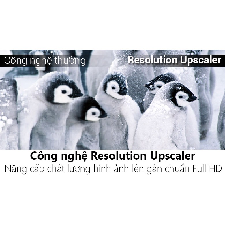  Smart Tivi LG 43 inch 43LK5400PTA (Hàng bỏ mẫu 100% chính hãng) | BigBuy360 - bigbuy360.vn
