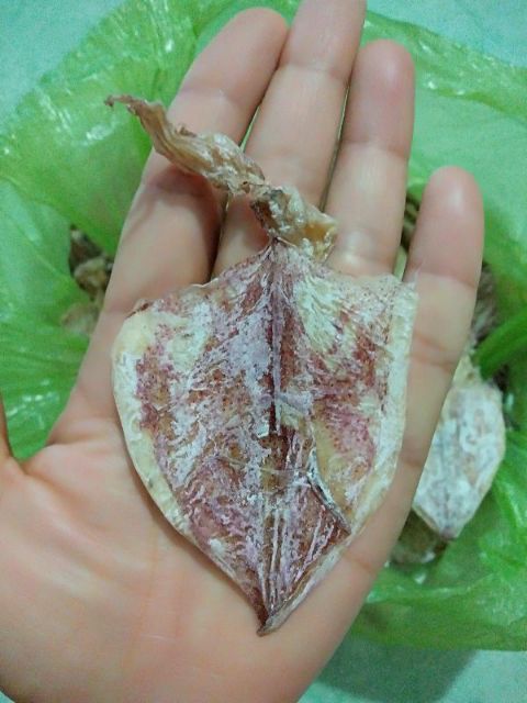 500 gram mực khô mini