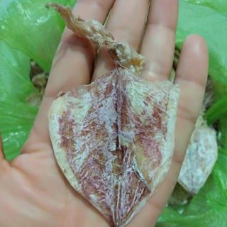 500 gram mực khô mini