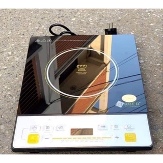 Bếp Từ Đơn ARBER