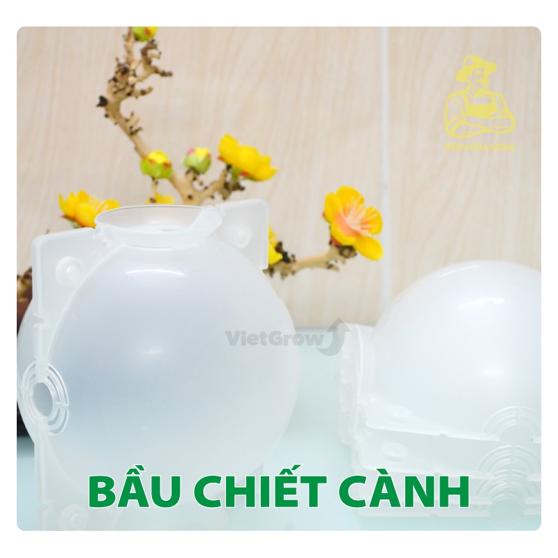 Combo 3 Bầu chiết cành Croco - Ghép Giống Rễ Cây Nhân Giống Có Thể Tái Sử Dụng Bằng Nhựa Màu Trong Suốt