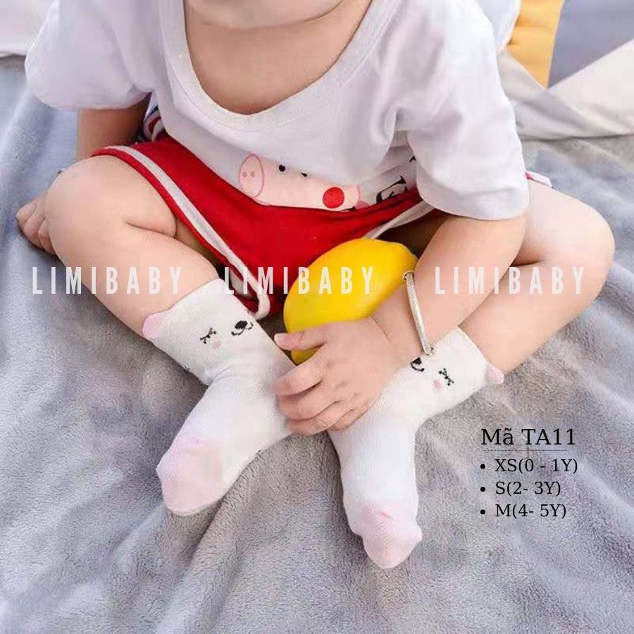 Tất cho bé, tất trẻ em Hàn Quốc 0 - 5 tuổi chất cotton mềm mại giữ ấm mùa đông đi trong nhà đi học đi chơi TA11