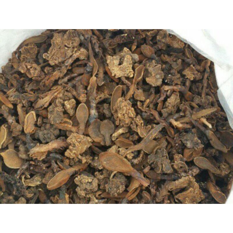 sỉ giá gốc 1kg nấm ngọc cẩu khô