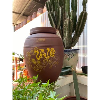 chum  ngâm  rượu 20l