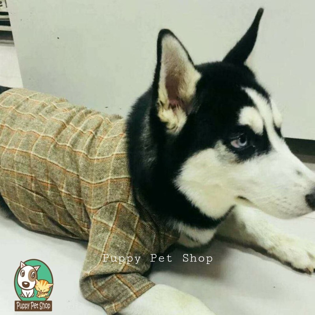 Áo Vest Blazer Kẻ Vintage
