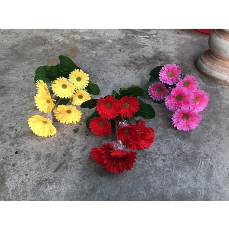 Cụm hoa đồng tiền 10b