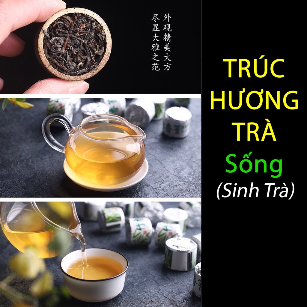 [HÀNG MỚI] TRÀ Phổ Nhĩ - TRÚC HƯƠNG Vân Nam (Sống và Chín) - Trà thơm cây Trà Cổ Thụ