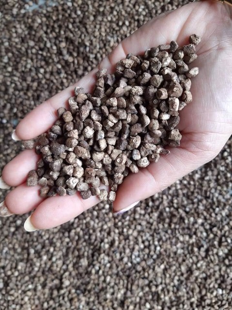 Hạt chuối rừng nguyên hạt khô loại 1 1kg | BigBuy360 - bigbuy360.vn