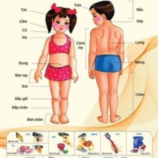 Bộ tranh treo tuong cho bé