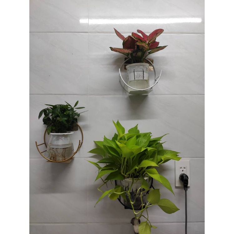 📌GIÁ GỐC TẬN XƯỞNG📌 GIÁ TREO TƯỜNG DÁN CƯỜNG LỰC, KỆ TREO HÌNH BÁN NGUYỆT NĂNG TRANG TRÍ NHÀ CỬA