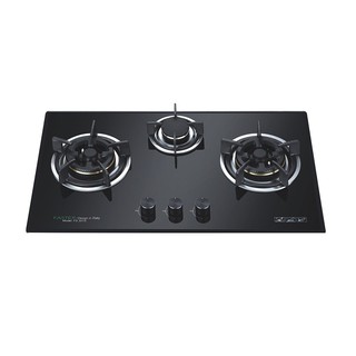 Bếp Ga Faster FS-301S