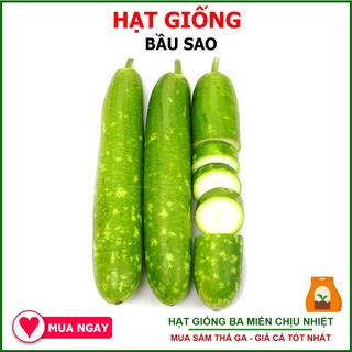 15 Hạt Giống Bầu Sao Lai F1 Rạng Đông
