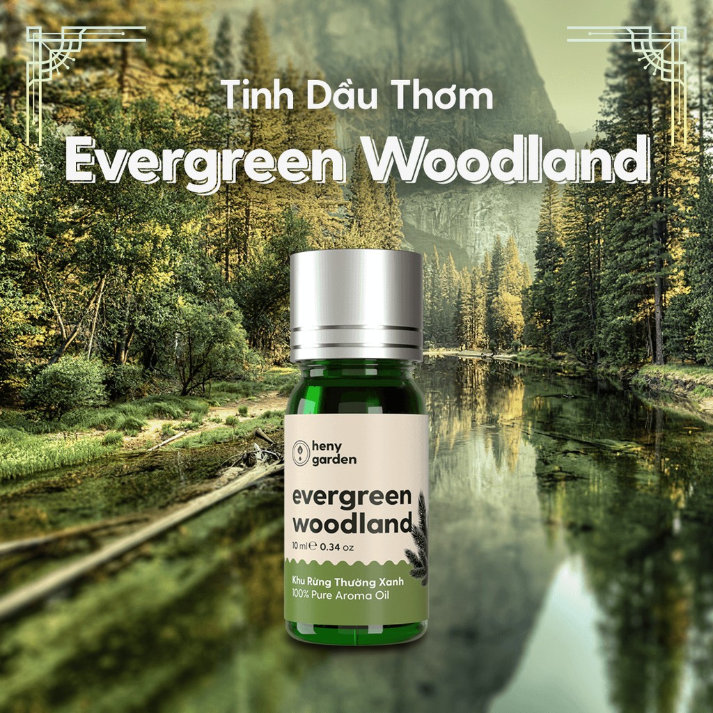 Tinh Dầu Phối Hương Evergreen Woodland (Gỗ Lá Rêu) Làm Nến Thơm, Xông Thơm Phòng HENY GARDEN