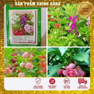 Hạt giống hoa móng tay mix Lucky seeds