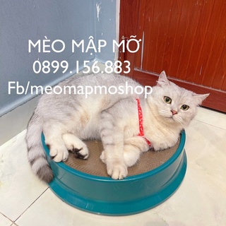 BÀN CÀO MÓNG ĐỒ CHƠI CHO MÈO