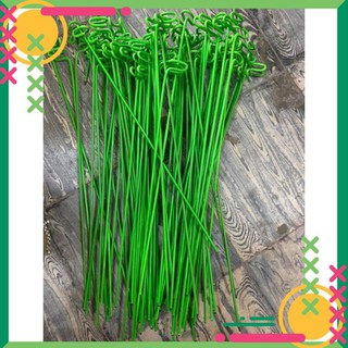 Que kẹp chậu giữ lan - nẹp chậu - ghim chậu loại chưa uốn độ dài 28-30cm