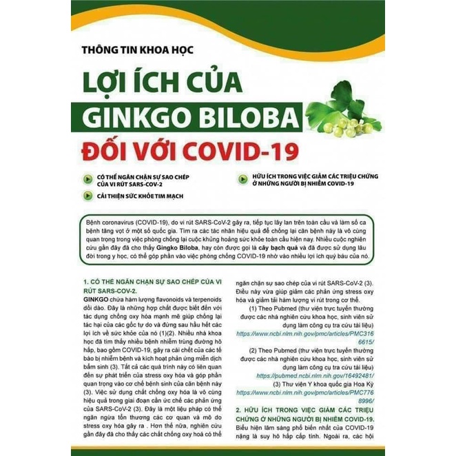 Viên uống tuần hoàn não ,bổ não Ginkgo Biloba 120 mg- 100 viên
