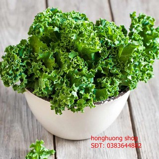 Hạt giống cải xoăn xanh| Cải Kale
