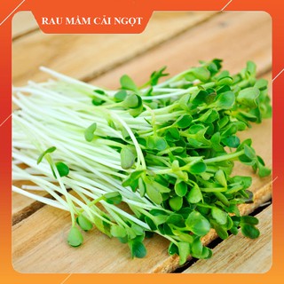 Hạt Giống Rau Mầm Cải Ngọt thu hoạch sau 7 ngày