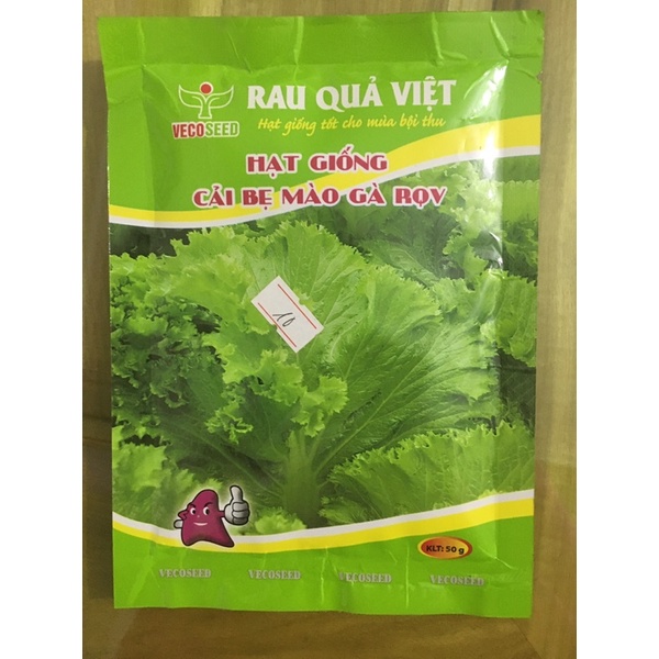 hạt giống cải bẹ mào gà