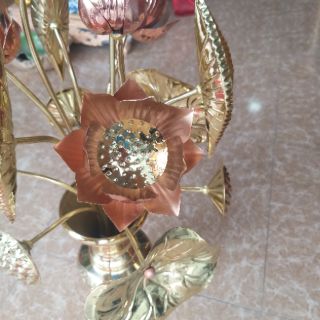 Hoa sen thờ đồng bó 15 bông