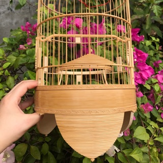 Lồng khuyên tách chỉ dừa