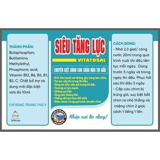 Siêu Tăng Lực PHỤC HỒI CHIM TRÚNG GIÓ TRỢ LỰC THI ĐẤU CHIM CẢNH