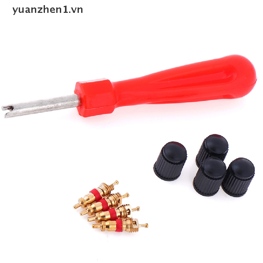 1 Bộ Dụng Cụ Sửa Chữa Van Lốp Xe Hơi / Mô Tô