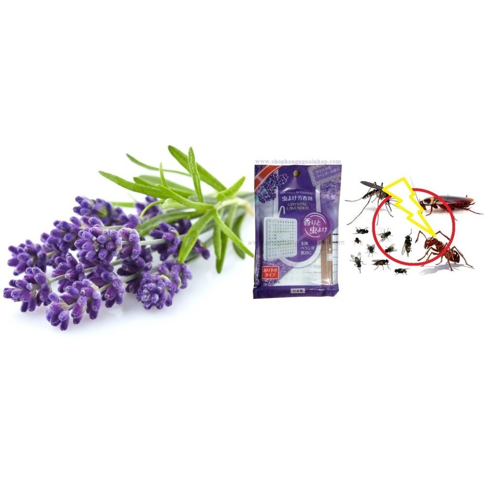 Miếng treo thơm phòng xua muỗi, đuổi côn trùng hương lavender dễ chịu (xuất xứ Nhật Bản)