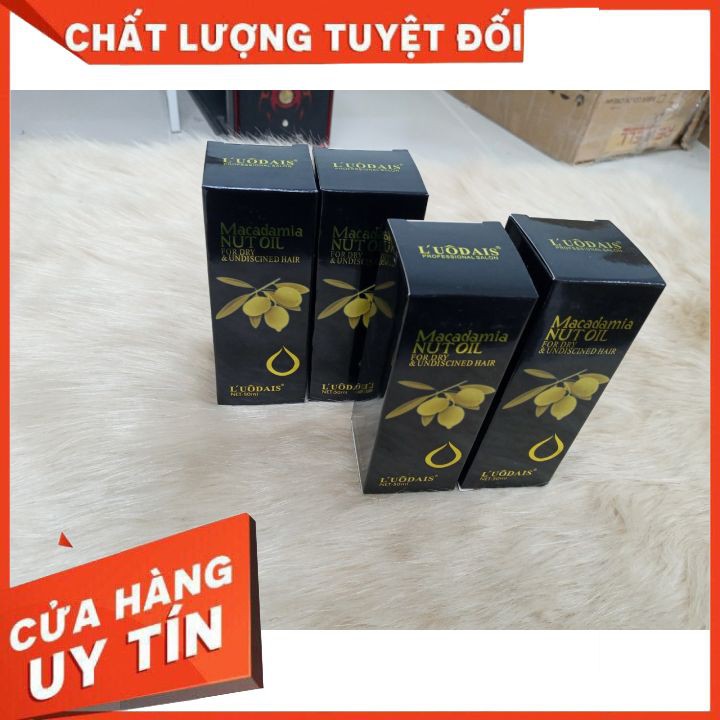 Dầu dưỡng tóc Macadamia Nut Oil 50ml 🍩 FREESHIP 🍩 cấp ẩm , nuôi dưỡng ohục hồi tóc khô xơ, giúp tóc suôn mượt chắc khỏe