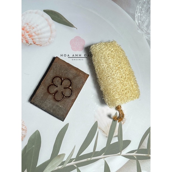 [SOAP CAFE QUẾ] Xà Phòng Thực Vật thương hiệu Hoa Anh Đào | BigBuy360 - bigbuy360.vn