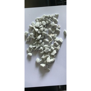 Đá trân châu Perlite trồng sen đá hoa lan túi 2 lít