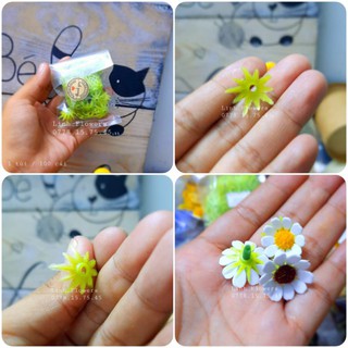 100 đài nhựa đính kèm nhị lông