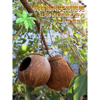 Tổ Đan Rơm Cho Vẹt Cưng