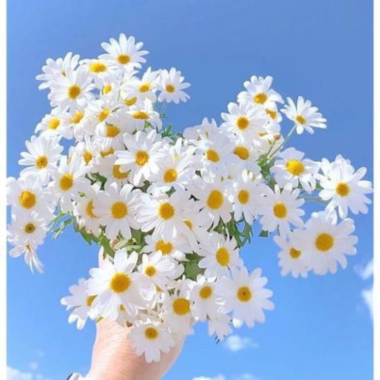 Sữa Tắm The Nature Time Baby Almond Body Wash - FLASH SALE 99K | BigBuy360 - bigbuy360.vn