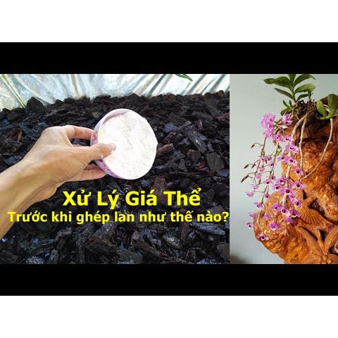 vôi bột cao cấp - xử lý giá thể , sát khuẩn cho vườn lan ,cải tạo đất