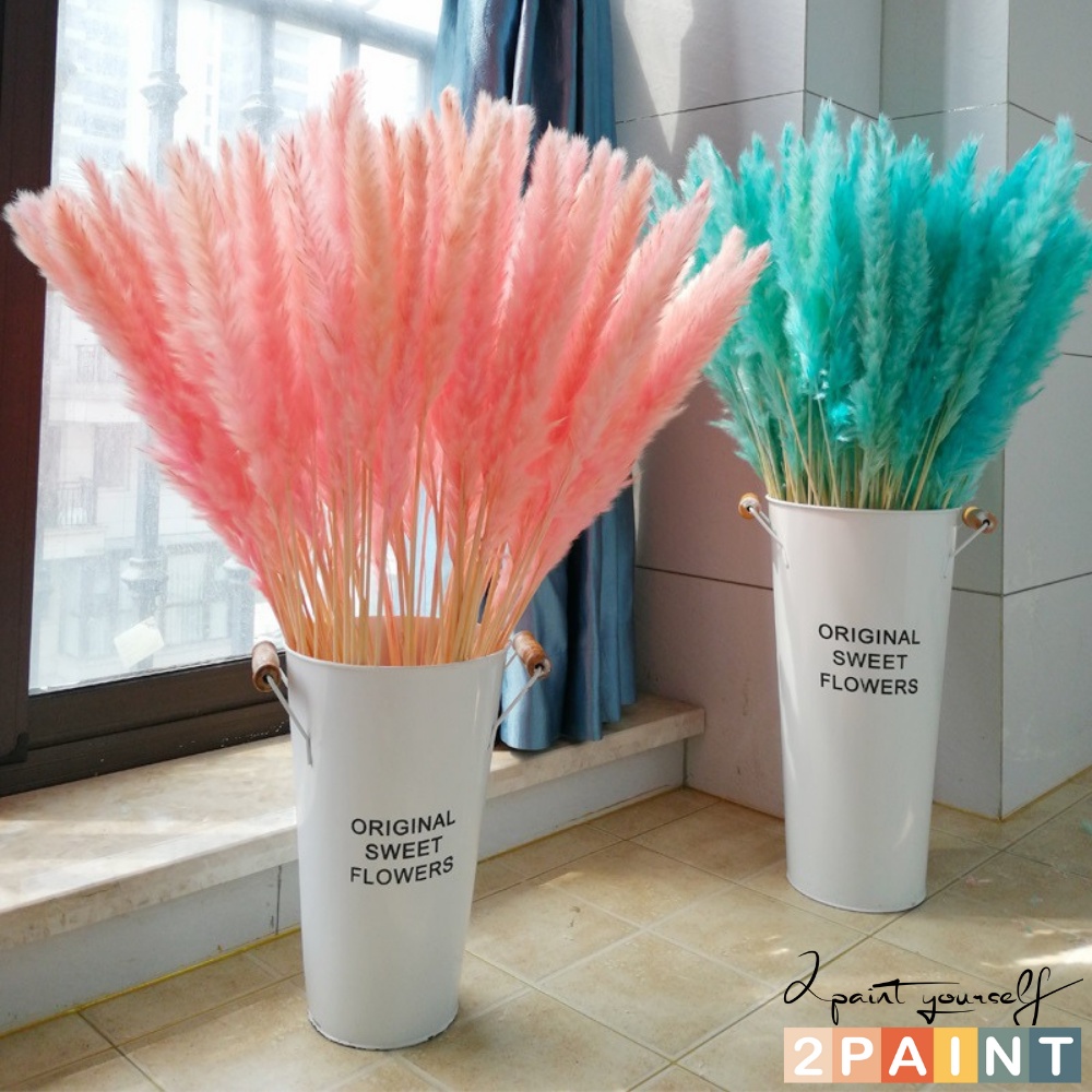 Hoa khô decor cỏ lau Pampass Grass trang trí để bàn, phụ kiện chụp ảnh đẹp