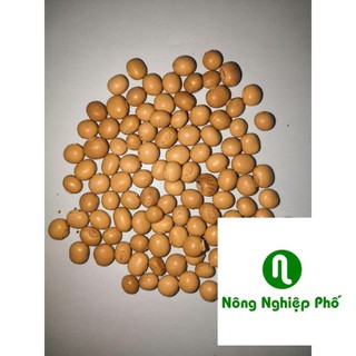 Gói 10 hạt giống đậu rồng phunong