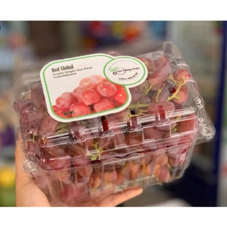 Hộp nhựa trái cây có lỗ 10 hộp/100 hộp 500gram/1kg