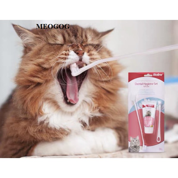 Bộ Kem đánh răng cho mèo Bioline MEOGOG