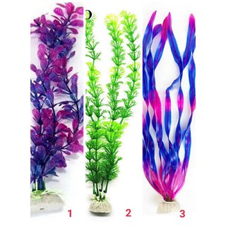 [Chọn mẫu] Cây rong cao 28- 32cm trang trí hồ cá, bể cá cảnh.