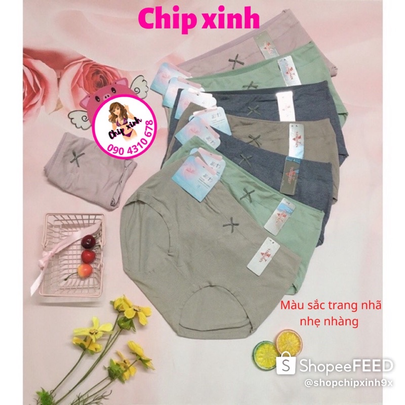 Quần Lót Nữ Cotton Big size Cạp Cao, Cạp Thấp Co Giãn, Mềm Mại, Thoải Mái Cao Cấp CHIP XINH SHOP