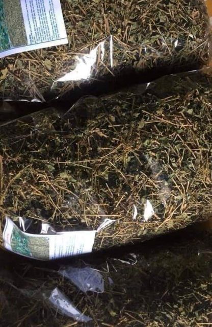 cà gai leo khô | BigBuy360 - bigbuy360.vn