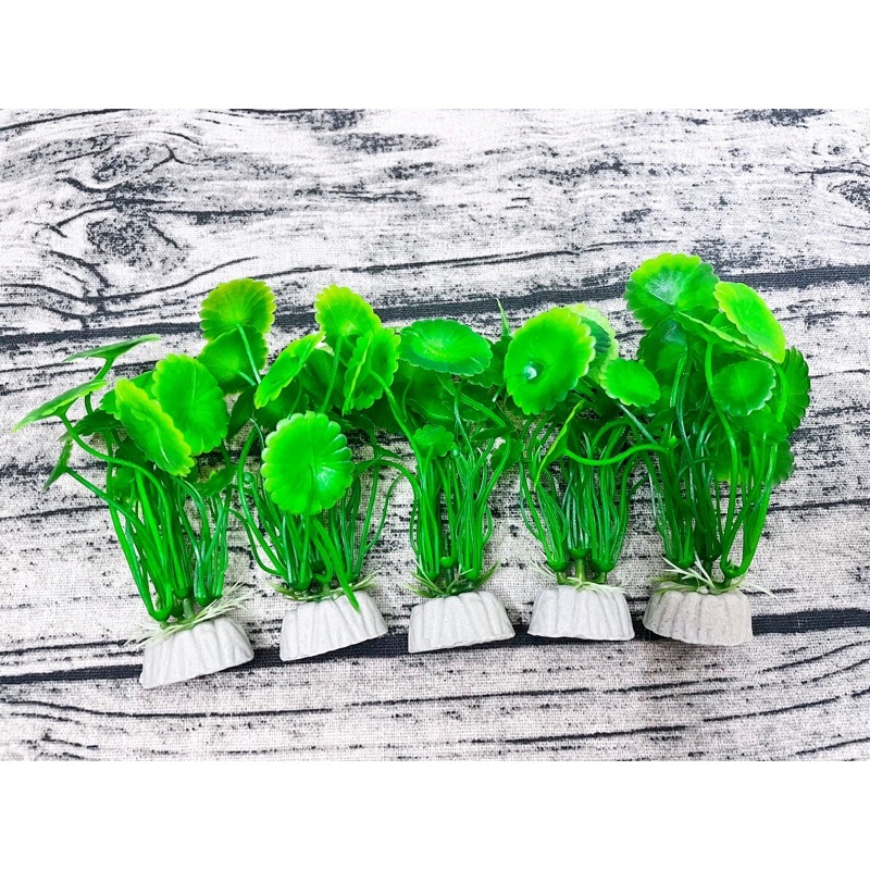 Cây nhựa mini trang trí hồ cá nhỏ| Phụ kiện bể cá cảnh