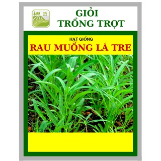 100G - Hạt Giống Rau Muống Lá Tre Việt Nam