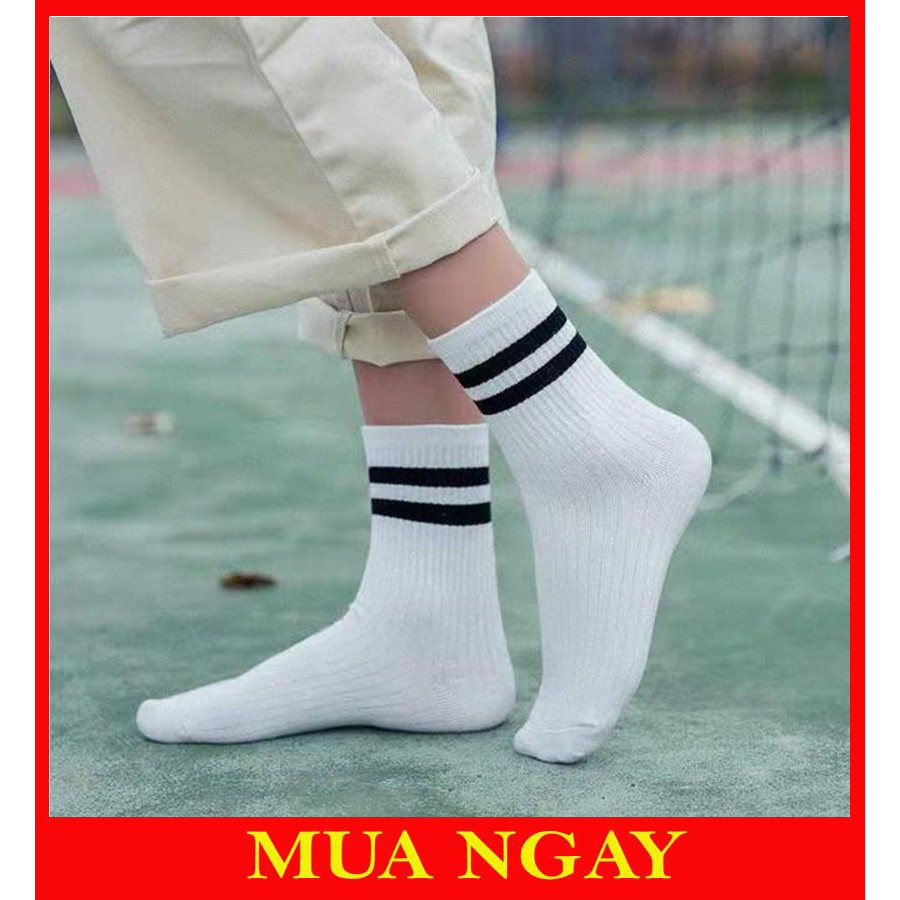 Tất kẻ cổ cao hàn quốc mẫu mới TK02