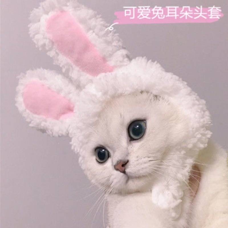 [Tặng súp thưởng] Mũ nón tai thỏ giữ ấm tạo dáng đáng yêu cho mèo cưng