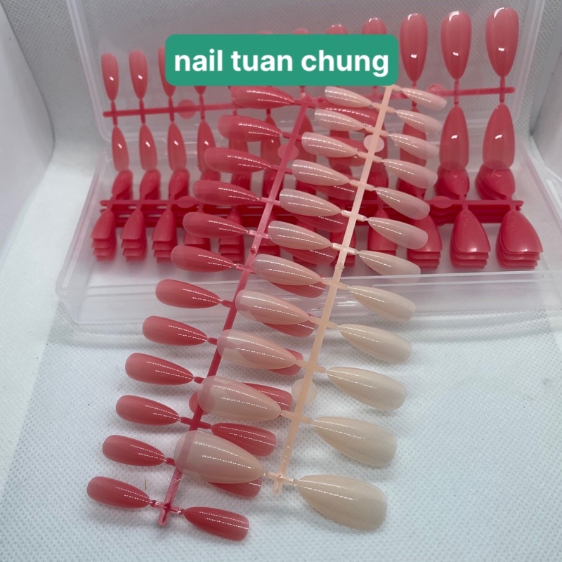 [ Hộp 240 PCS ] Form Bầu , Móng Úp Tay Màu Thạch Loại Đẹp