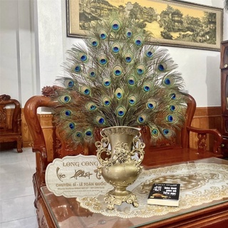 Combo Bình lông công 26-30-36 cành lông công đẹp